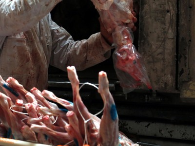 Αχαΐα: Πάνω από 50 κιλά ακατάλληλου κρέα...