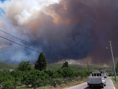 Σμύρνη: Ανεξέλεγκτες μαίνονται 9 από τις...