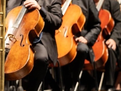  Το βιολοντσέλο που έκανε check in στην ...