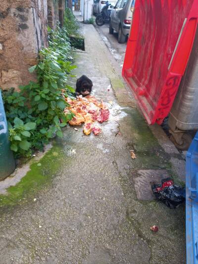 φωτο fb Γιάννης Γεωργόπουλος