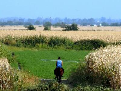 Δείτε το νέο Δ.Σ. του Συλλόγου Γεωπόνων ...