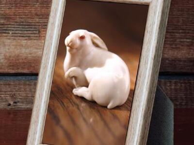 To βραβευμένο βιβλίο του Έντμουντ ντε Βα...