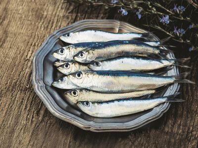Πάτρα: Γιατί «εξαφανίστηκε» η σαρδέλα απ...