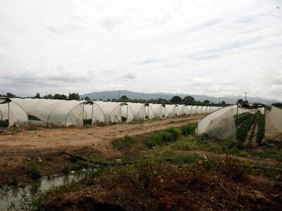 Το ΚΚΕ Ηλείας για τον ξυλοδαρμό δημοσιογ...