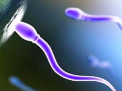 Πάτρα: Άνεργοι πωλούν το... σπέρμα τους ...