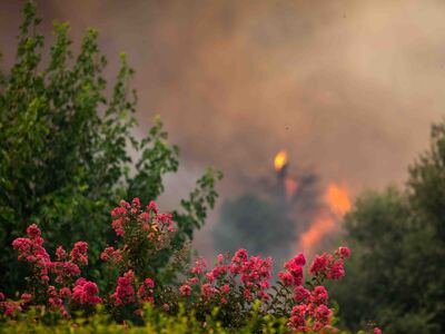 Φωτιά στην Πάτρα: Τα ερωτήματα για τη δε...