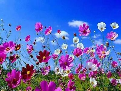 Πασχαλινό bazaar από το 6ο Σύστημα Αεροπ...