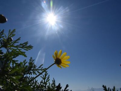 Καιρός: Νεφώσεις και βοριάδες αναμένοντα...