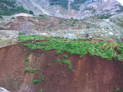 Καλλιθέα - Καρυές: Οι δυο περιοχές που κ...