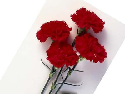 Έφυγε από τη ζωή ο γνωστός Αιγιώτης έμπο...