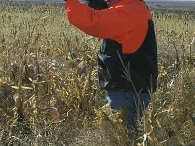 Πάτρα: Πώς θ' ανανεώσετε την άδεια του κ...