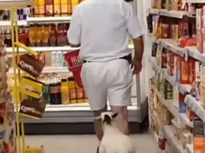 Viral το πρόβατο που πηγαίνει για ψώνια ...
