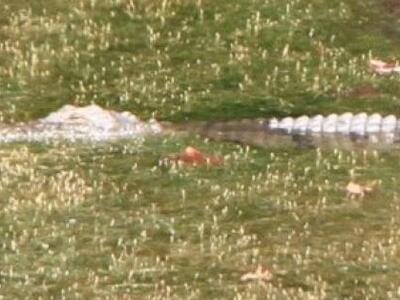 Αναλαμβάνει ο διάσημος «γητευτής» για να...