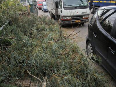 Πάτρα: Θυελλώδεις οι άνεμοι στην περιοχή...