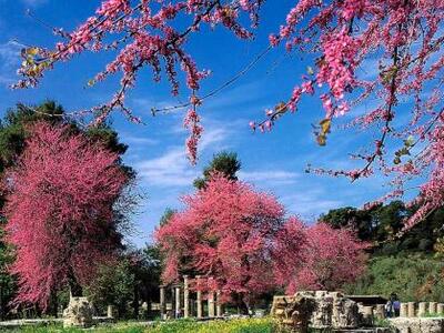 Ολόγυμνοι και μεθυσμένοι τουρίστες προσπ...