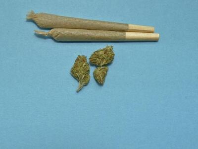 Δυτική Ελλάδα: Συλλήψεις για κατοχή ναρκ...