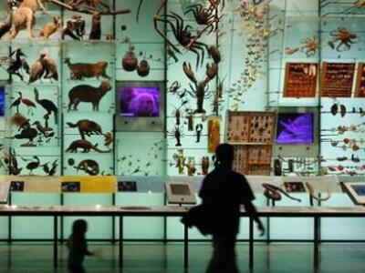 Με ρυθμό 1.000 φορές μεγαλύτερο εξαφανίζ...