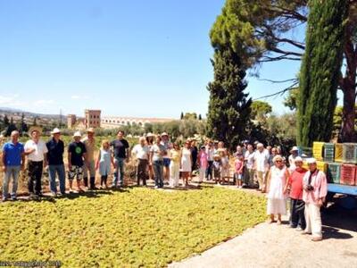 Πάτρα: «Ξεκίνησε το άπλωμα της Μελισσέας»