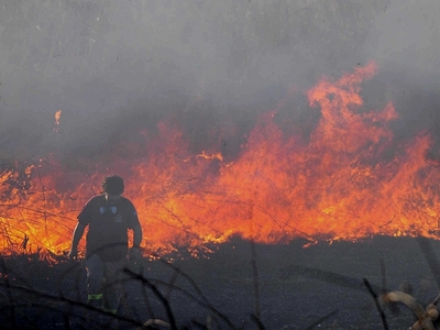 Ερωτηματικά Τσούκαλη για την δικαστική απόφαση 