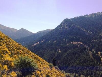 Καλάβρυτα: Ιδανικός προορισμός για κάθε ...