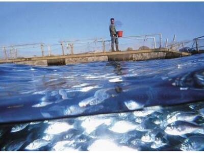 "Πάγωσε" η συγχώνευση της ΔΙΑΣ...