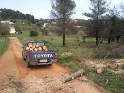 Πάτρα: Τους ξέφυγαν οι λαθροϋλοτόμοι μέσ...