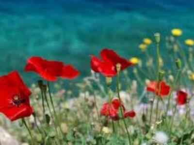 Καλοκαιρινή... Πρωτομαγιά με ...33 βαθμο...