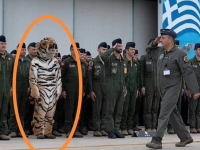 Η τίγρη στον Άραξο που έγινε viral!
