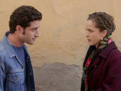 Άγριες Μέλισσες: Θα είναι ξανά μαζί ο Μπ...