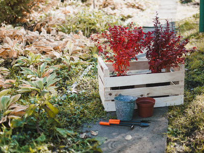 Κηπουρική: Οι 9 εργασίες που πρέπει να κ...