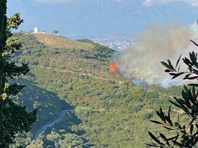 Περισσότερα από 200 στρέμματα δασικής έκ...