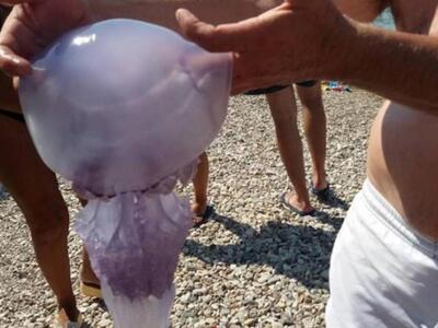 Νίκος Νικολόπουλος: Να ληφθούν μέτρα για...