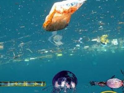 Πάτρα: Έκθεση με θέμα: «Μικροαπορρίματα ...