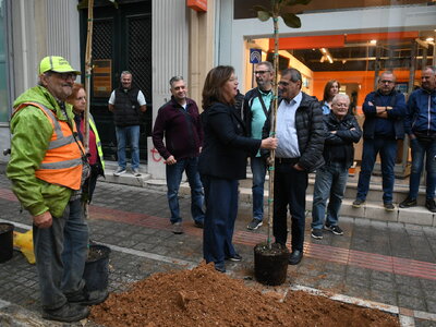 Πάτρα: Ξεκίνησε η δενδροφύτευση στη Γούναρη- ΦΩΤΟ