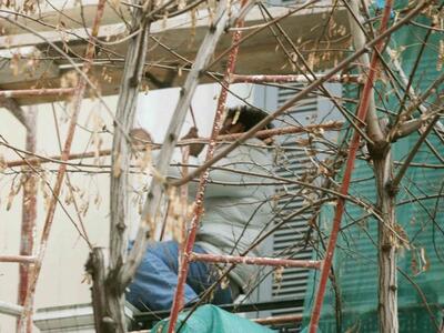 Πάτρα: Εργατικό ατύχημα στην Γούναρη - 4...