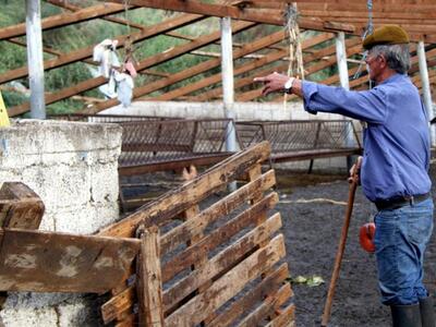 Ηλεία: Ταυτοποιήθηκαν τα στοιχεία τριών ...