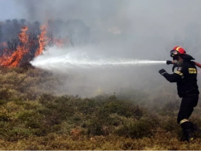 Φωτιά στο Λάσδικα Ηλείας – Καίει παρθένο δάσος