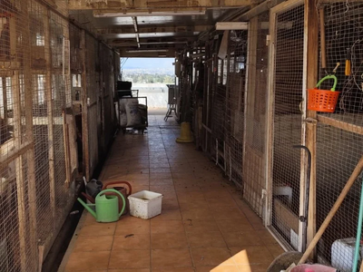 Καλλιακμάνης για Αμπελόκηπους: CEO γνωστ...