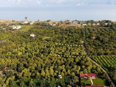 Πωλούνται αγροτεμάχια στην Αιγιάλεια