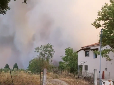 Ηλεία: Συνεχείς αναζωπυρώσεις – Δεκάδες ...