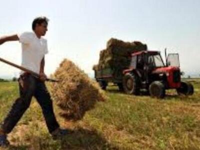 Πάτρα: Ημερίδα για τους νέους αγρότες απ...