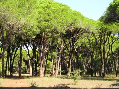 Απαγορευτικό για κυνηγούς από Κοτύχι και Στροφυλιά