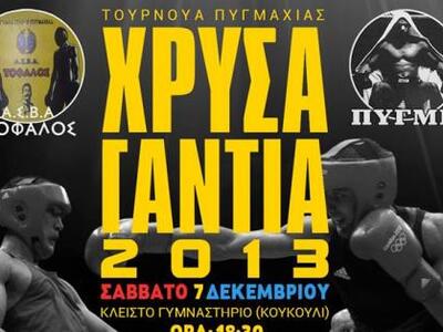 Πυγμαχία: Επιστρέφουν τα "Χρυσά Γάντια"