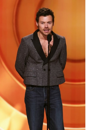 Χάρι Στάιλς με Dior