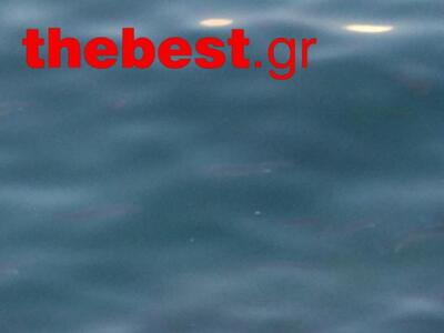 Μέδουσες δεν είδαμε, κέφαλους όμως είδαμε!