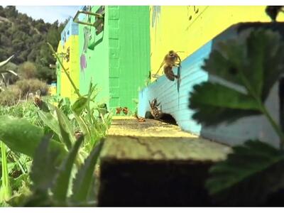 Ουκρανικό τηλεοπτικό συνεργείο βρέθηκε σ...