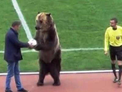 Μία αρκούδα ξεκίνησε αγώνα στο ρωσικό πρωτάθλημα 