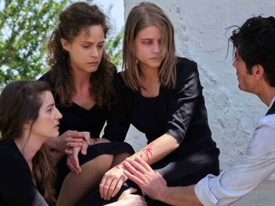 Οι Άγριες Μέλισσες σε αριθμούς! Πώς 151 ...