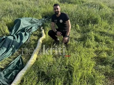 Ηράκλειο: Πύθωνας 5 μέτρων σε χωράφι