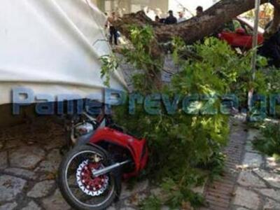 Πρέβεζα: "Οδηγούσα και μου ήρθε το ...